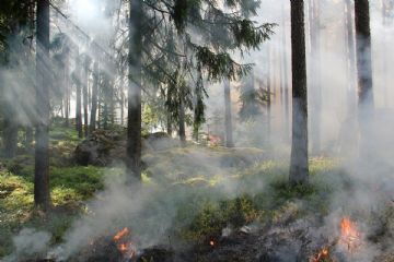 Incendio in Val Grande